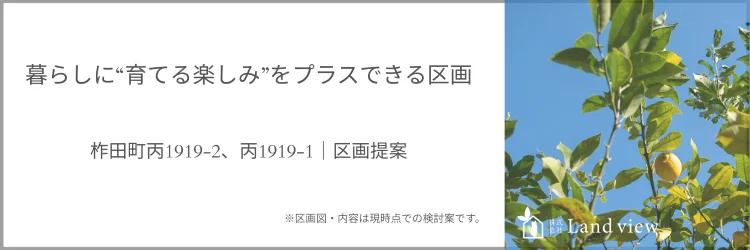 区画提案 柞田町丙1919-2