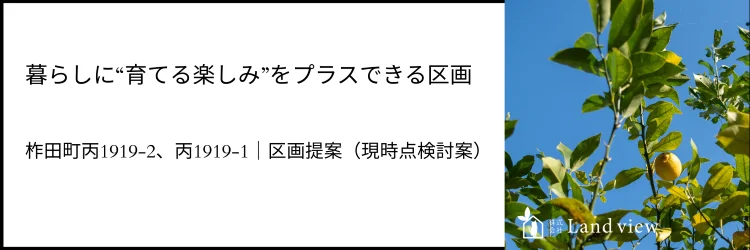 区画提案 柞田町丙1919-2